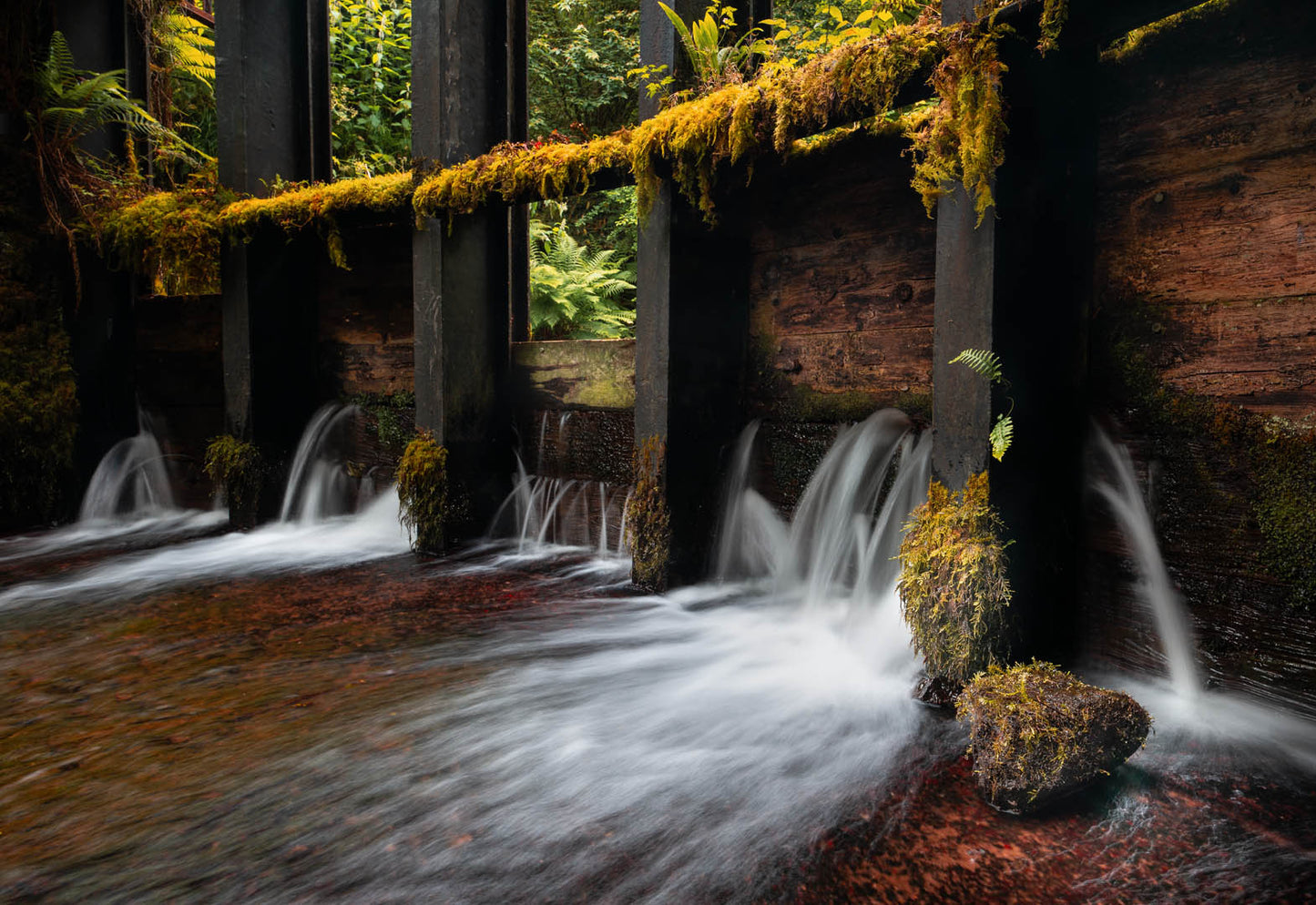 Woodburn Glen Carrickfergus Print, Carrickfergus Prints, Wall Art Prints, Irish Photographs, Wall Hangings, Fine Art Photography, Irish Prints, Old Glen Carrickfergus Photograph, Carrickfergus Old Pictures