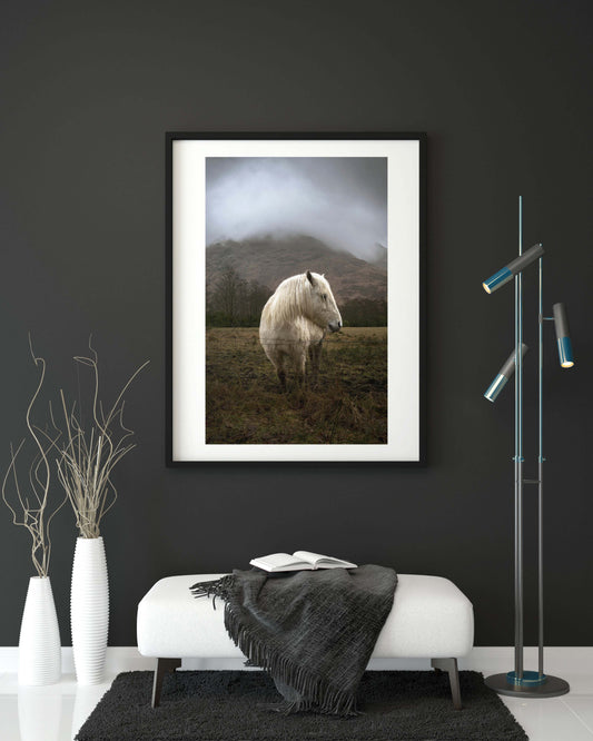 Wild Horses Glencoe Scotland, Glencoe Horses, Scottish Photographs, Wall Hangings, Fine Art Photography, Scotland Scenery, Scottish Photography, Photographs from Scotland