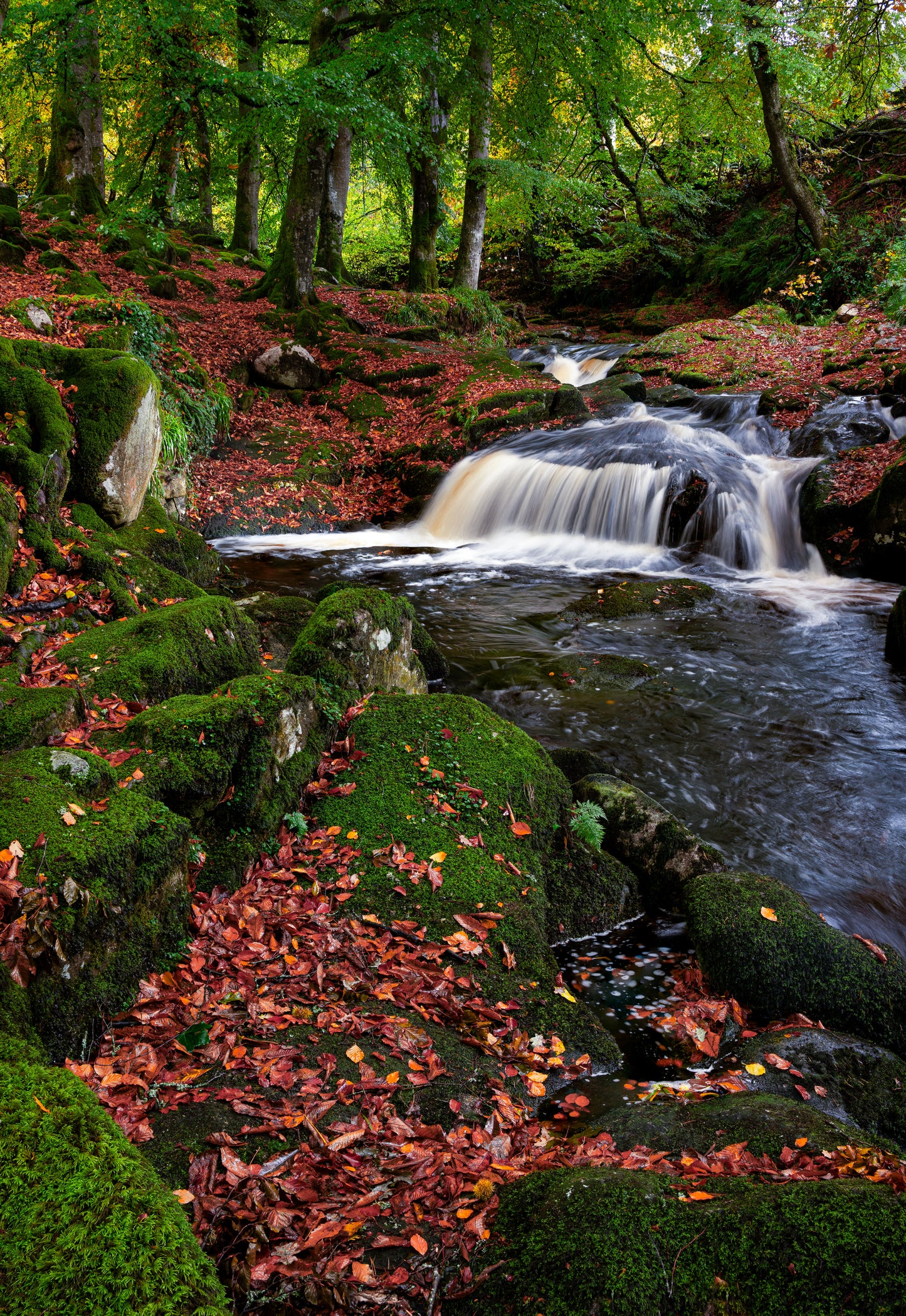 Wicklow Ireland in Autumn Colours, Wicklow Mountains Ireland, Autumn Pictures, Autumn Leaves Wicklow