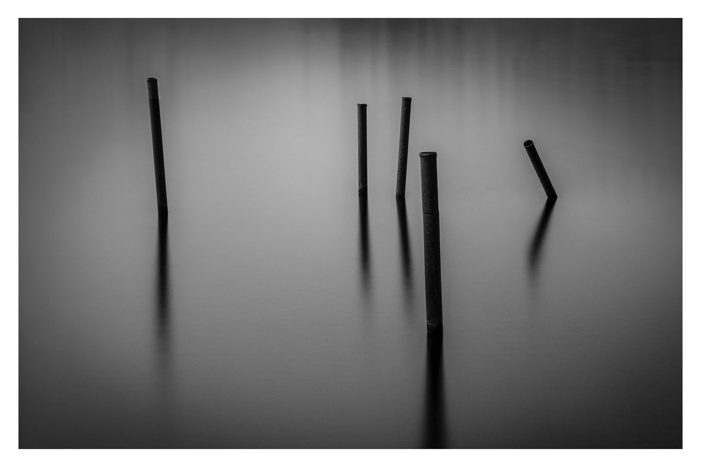 Standing Tall Limited Edition Print, Wall Art Prints, Irish Photographs, Wall Hangings, Fine Art Photography, Irish Prints, Limited Edition Print