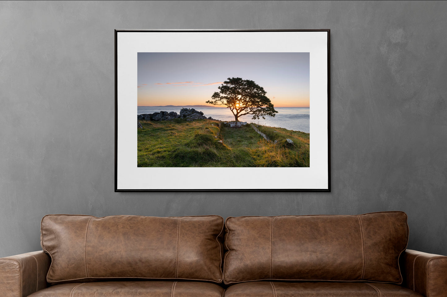 Lone Tree Murlough Bay Ballycastle.