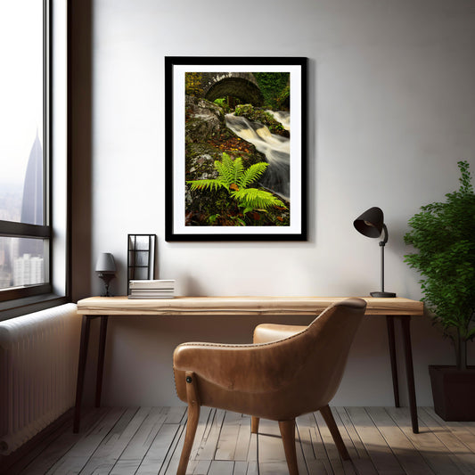 Wicklow Ireland in Autumn Colours, Wicklow Mountains Ireland, Autumn Pictures, Autumn Leaves Wicklow