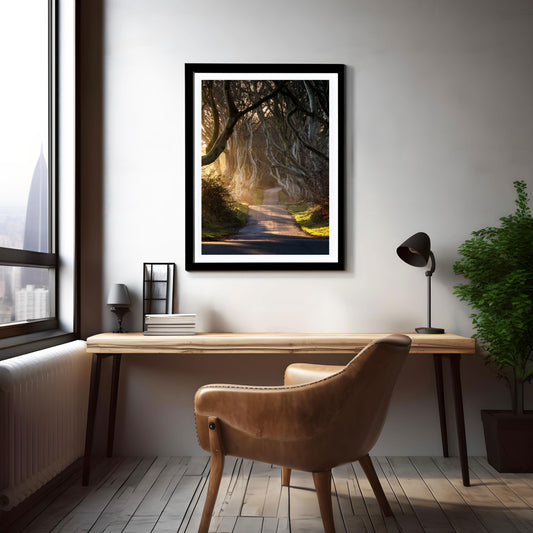 Dark Hedges Print, Wall Art Prints, Irish Photographs, Wall Hangings, Fine Art Photography, Irish Prints, Irish Photography, Prints OF Trees, Dark Hedges Northern Ireland