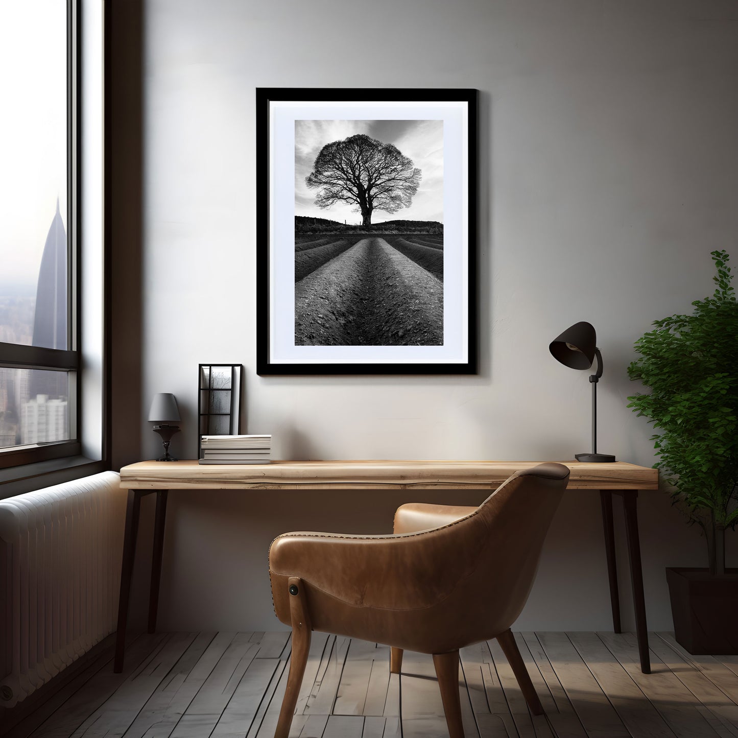 Lone Tree Belfast, Belfast Wall Art Prints, Black and White Photographs, Wall Hangings, Fine Art Photography, Belfast Scenery, Belfast Photography, Photographs from Belfast, Lone Trees