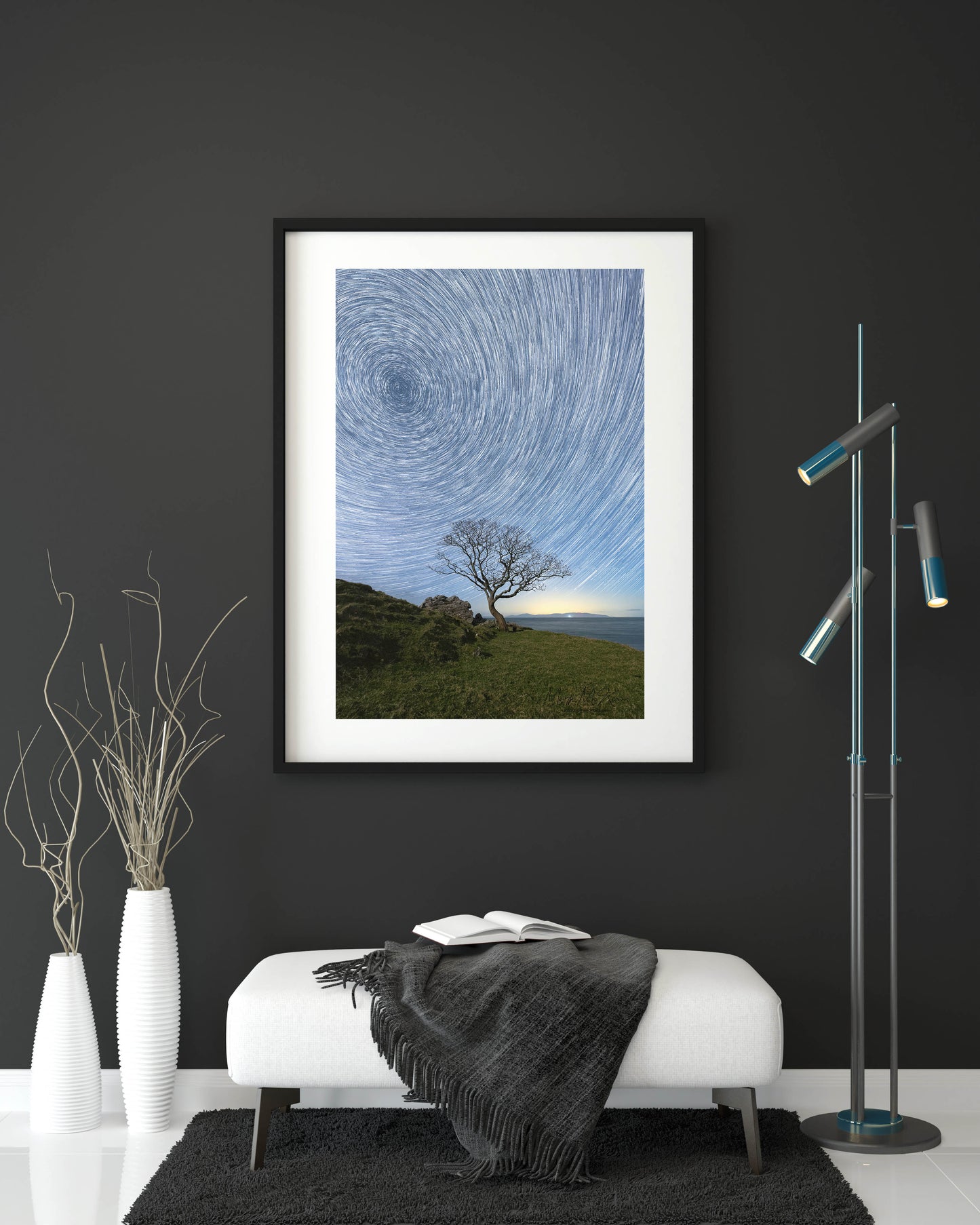 Lone Tree Under The Stars Murlough Bay Ballycastle.