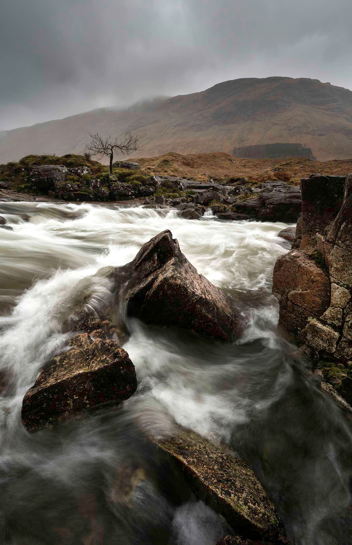 Lone Tree Glencoe Scotland, Glencoe Wall Art Prints, Scottish Photographs, Wall Hangings, Fine Art Photography, Scotland Scenery, Scottish Photography, Photographs from Scotland