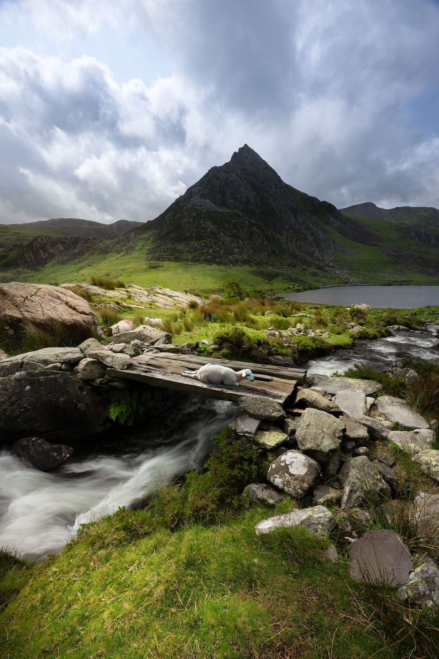 Tryfan Wales with Resting Sheep, Wall Art Prints, Photographs from Wales, Wales Valley Prints,Tryfan Mountain and Llyn Ogwen, North Wales Prints, North Wales Photographs (Copy)