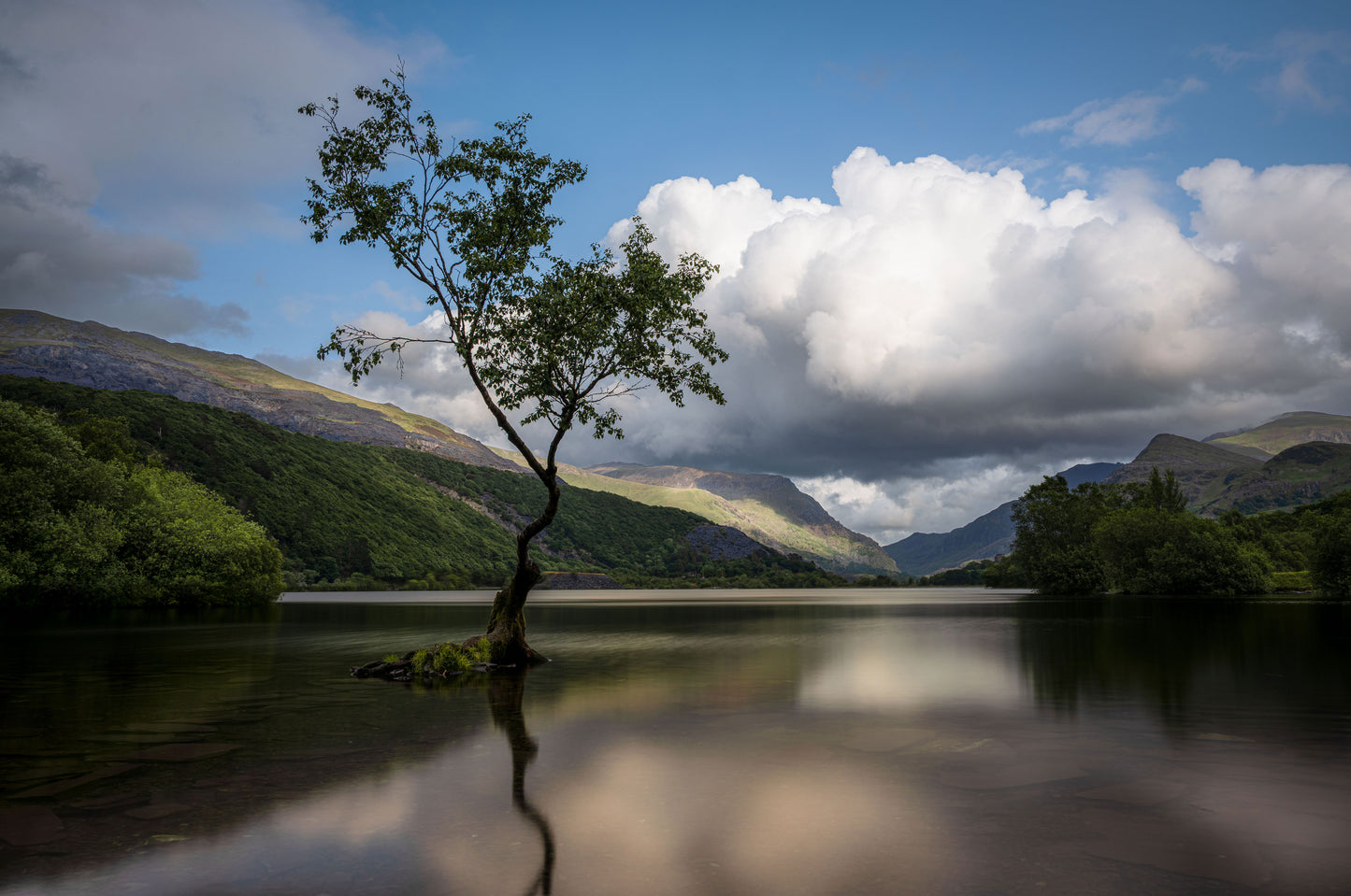 Lone Tree of Llanberis, Lonely Tree Wales, Mountains Art Prints, Photographs from Wales, Wales Valley Prints, Snowdonia National Park, North Wales Prints, North Wales Photographs,  Llyn Padarn lake