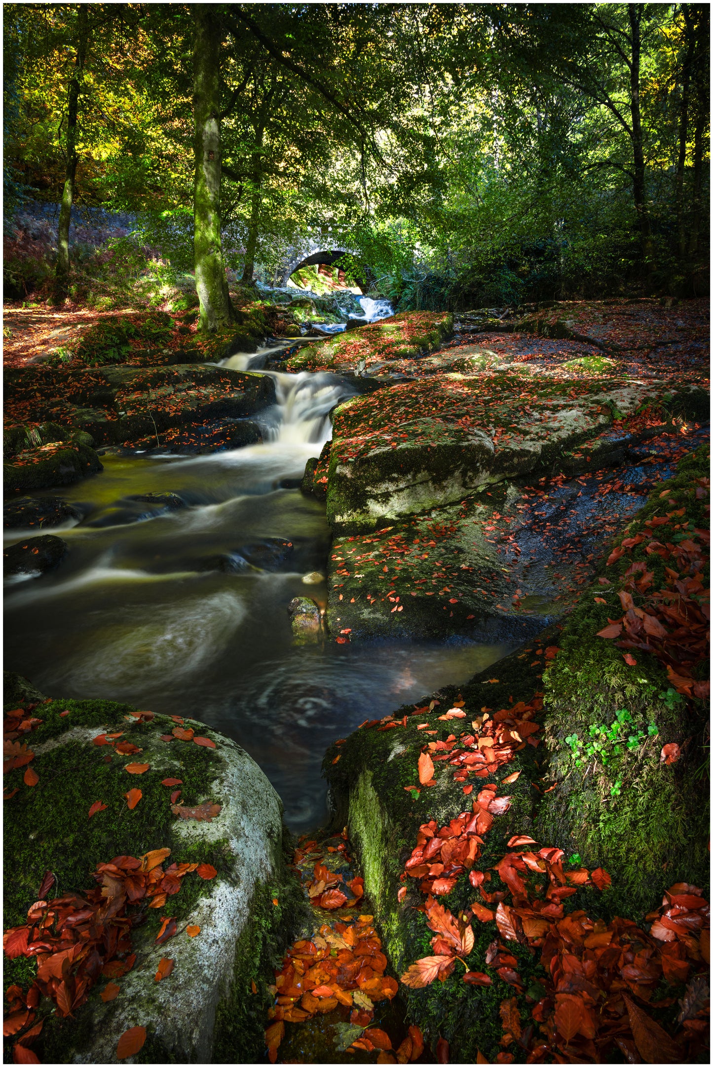 Wicklow Ireland in Autumn Colours, Wicklow Mountains Ireland, Autumn Pictures, Autumn Leaves Wicklow
