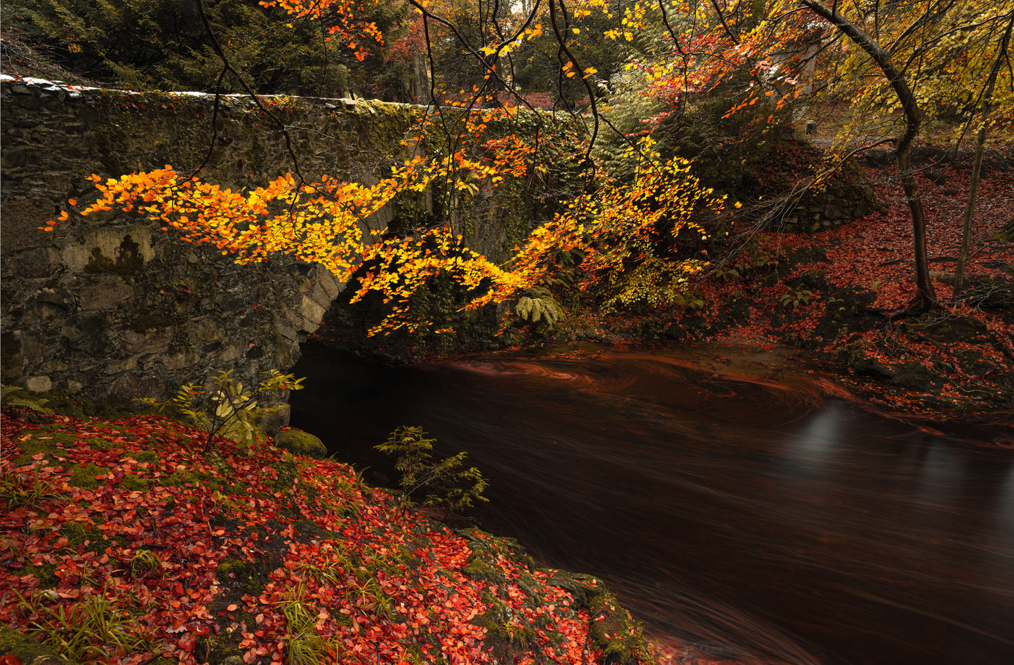 Tollymore Forest Park Waterfalls, Wall Art Prints, Irish Photographs, Wall Hangings, Fine Art Photography, Mourne Mountains Newcastle, Irish Gifts, Mourne Mountains Prints