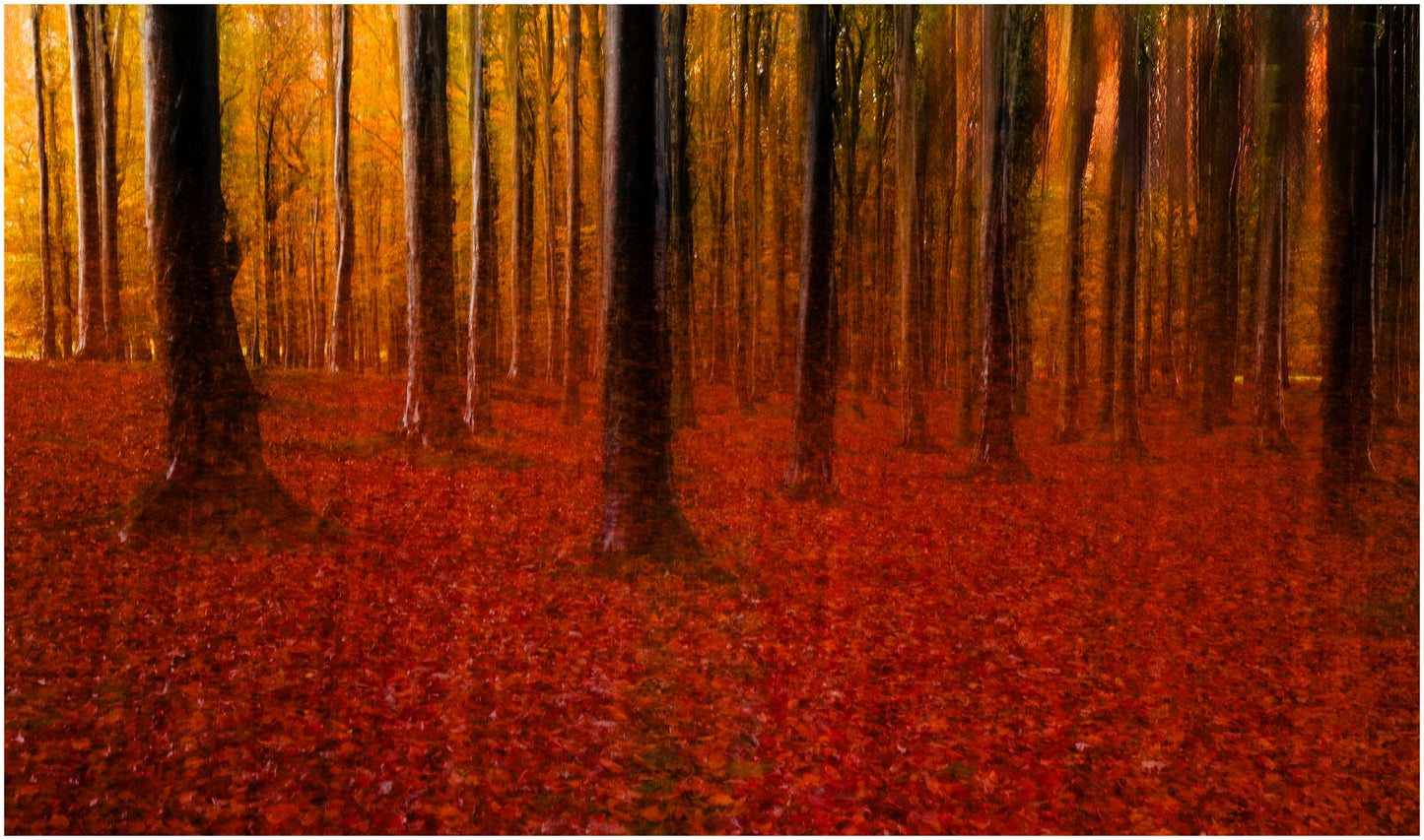 Tollymore Forest Park Waterfalls, Wall Art Prints, Irish Photographs, Wall Hangings, Fine Art Photography, Mourne Mountains Newcastle, Irish Gifts, Mourne Mountains Prints. Autumn in Tollymore