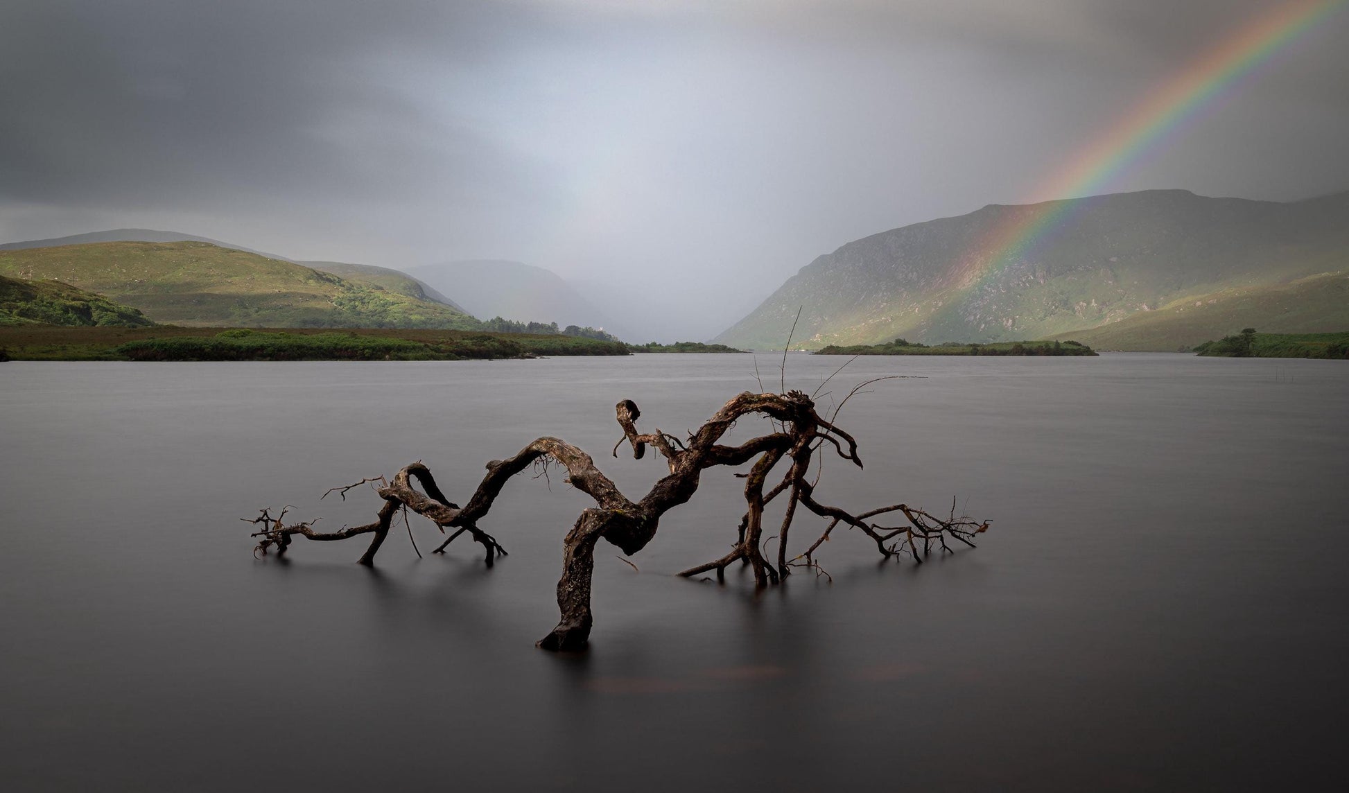 Glenveagh National Park Print, Lone Tree, Donegal Ireland Photography