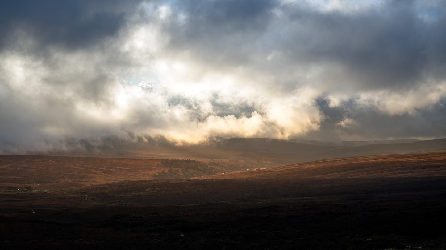 Wicklow Mountains Ireland Autumn Foggy Forest Landscape Photograph