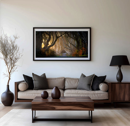 Dark Hedges, Dark Hedges Print, Trees County Antrim, The Dark Hedges Armoy, Avenue of Trees