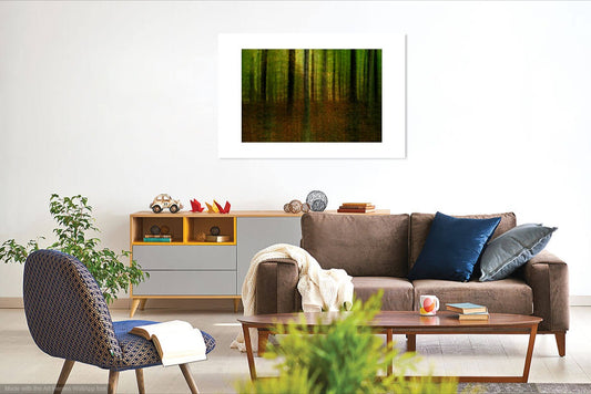 Woodland Photography, Catching the Light, Forest Print, Wall Art Prints, Irish Photographs, Wall Hangings, Fine Art Photography, Forest Prints, ICM Prints